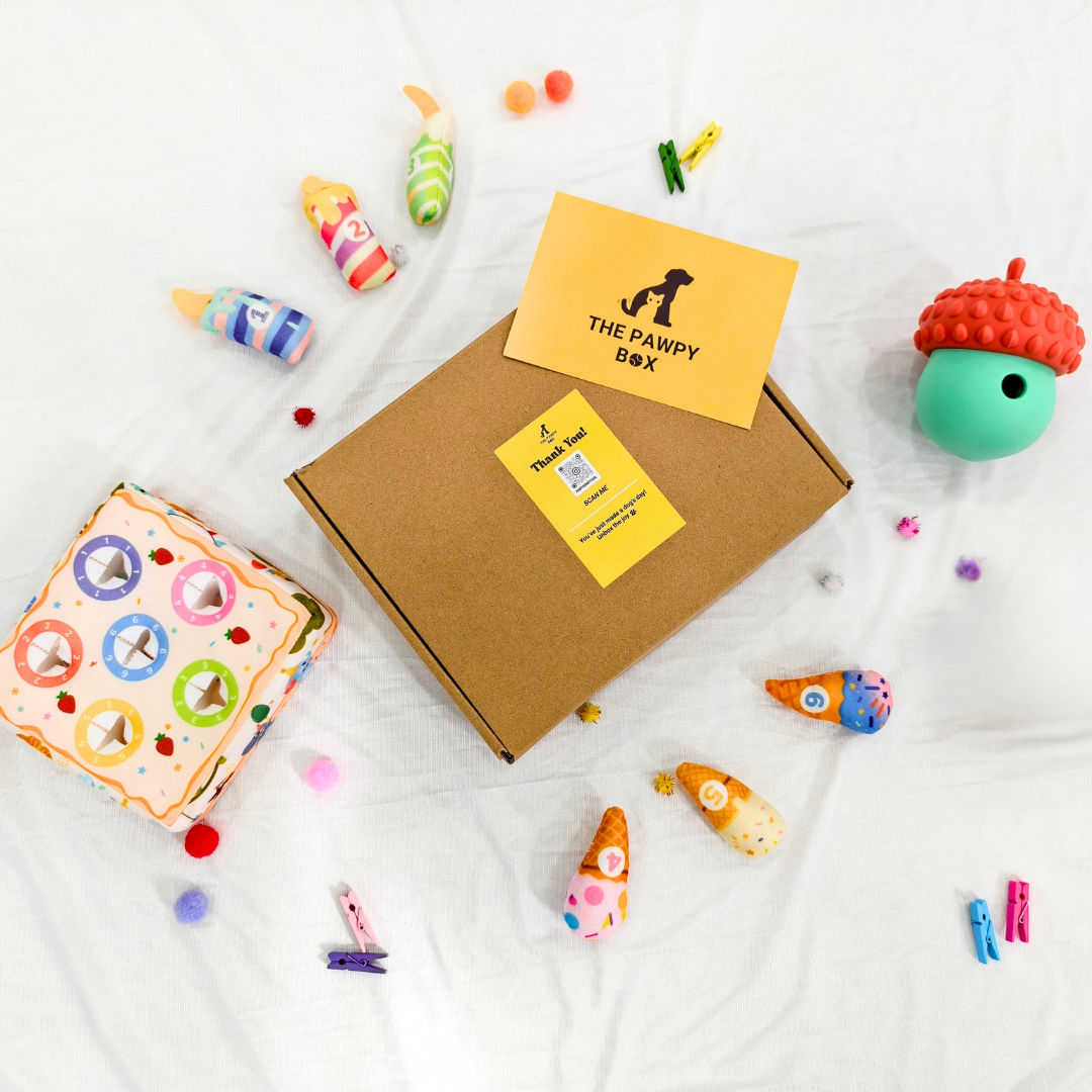 Pawpy The Smart Baby Box For Dogs