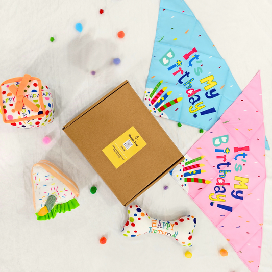 Pawpy Happy Birthday Box (For Dogs & Cats)