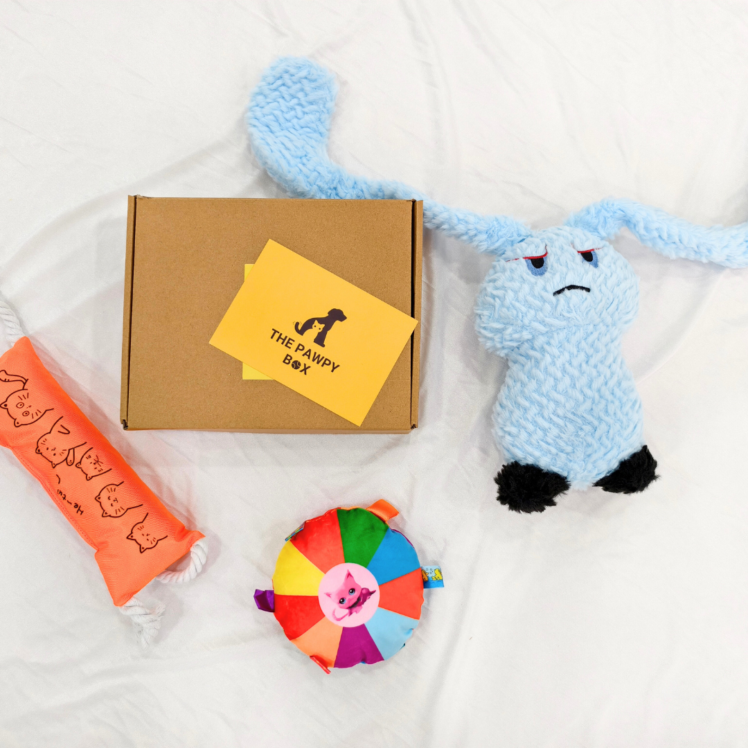 Pawpy Bunny Doggie Box