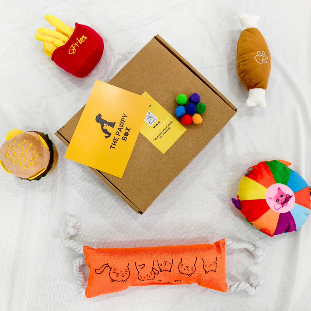 Pawpy Fast Food Doggie Box