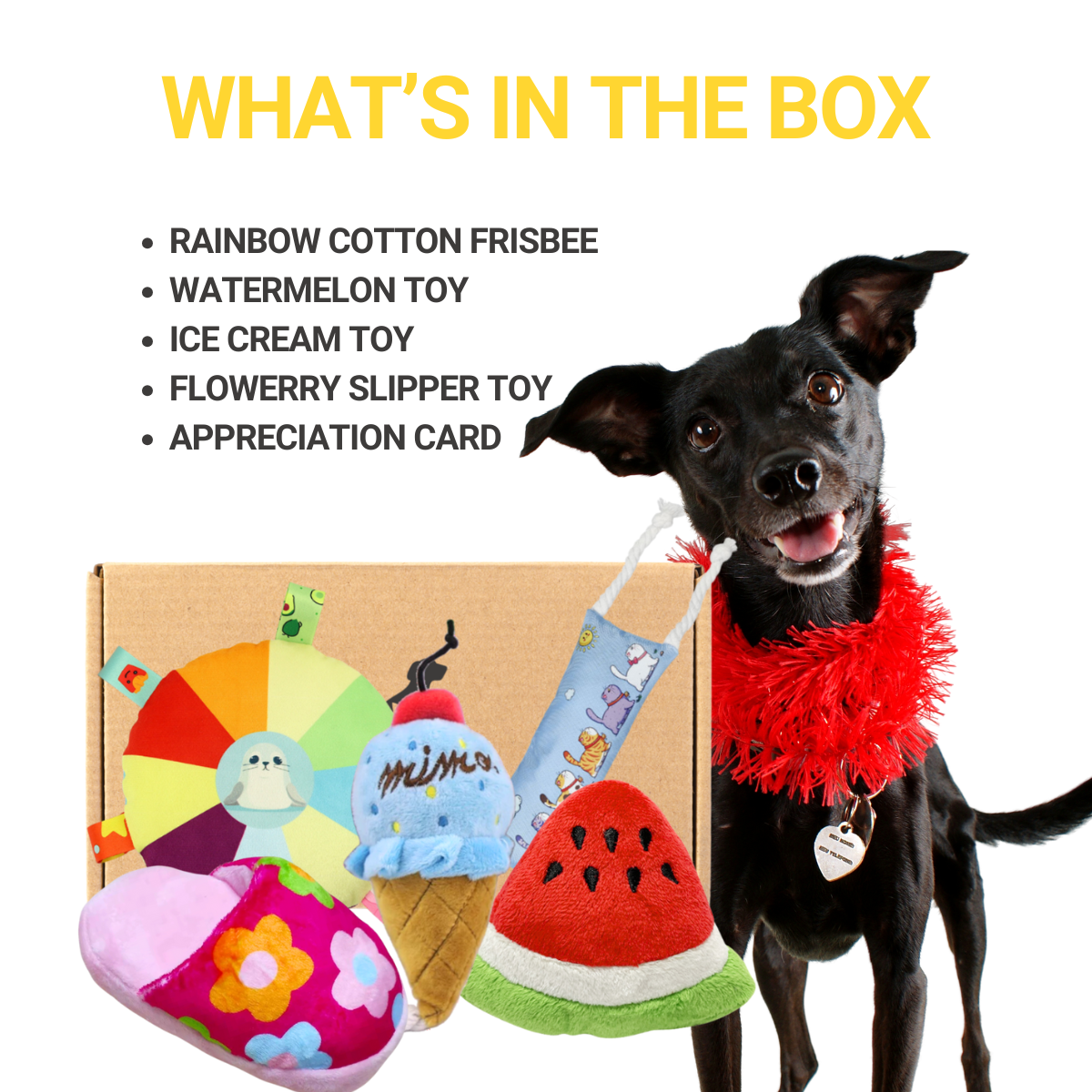 Pawpy Summer Doggie Box