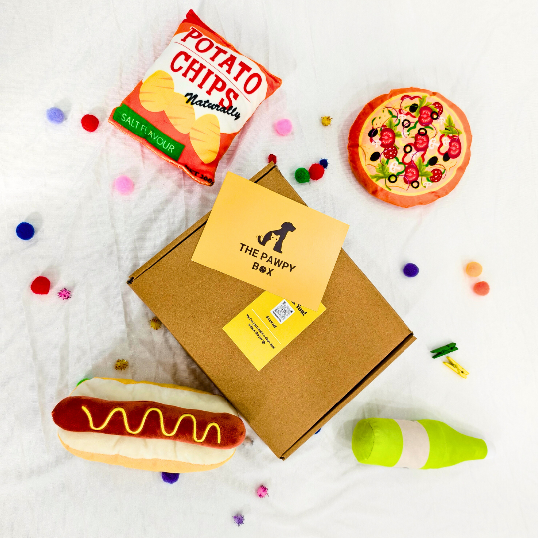Pawpy TGIF Toy Box