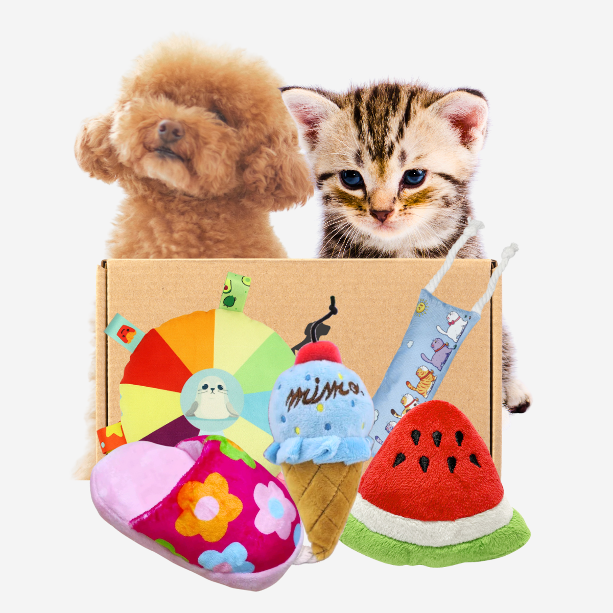 Pawpy Summer Theme Box (For Dogs & Cats)