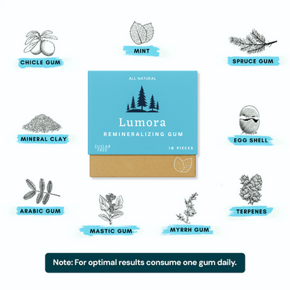 Pawpy The Hide-And-Seek Box