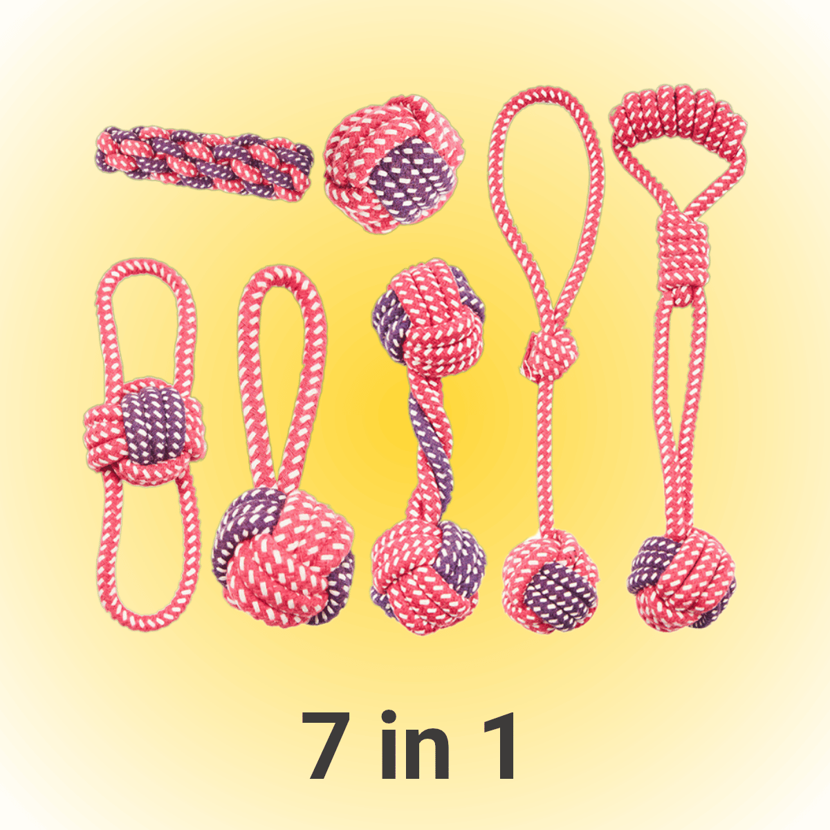 chewy box 7 in 1
