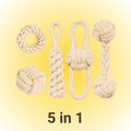 chewy box 5 in 1