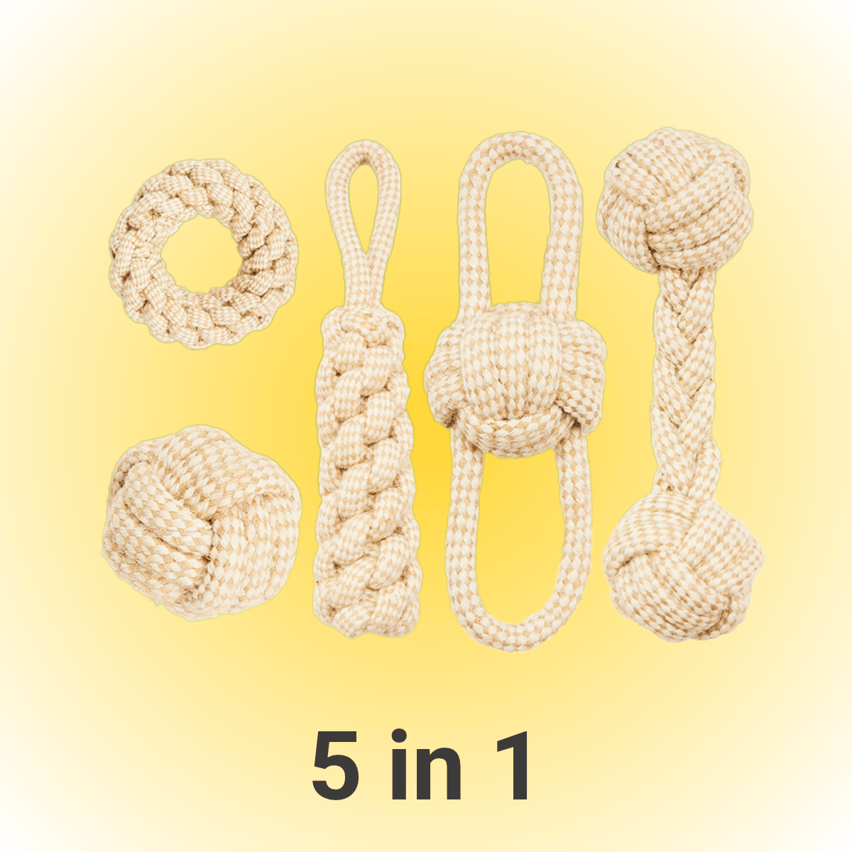chewy box 5 in 1