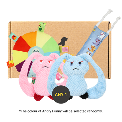 Pawpy Bunny Doggie Box