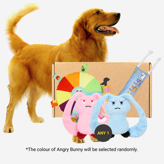 Pawpy Bunny Doggie Box