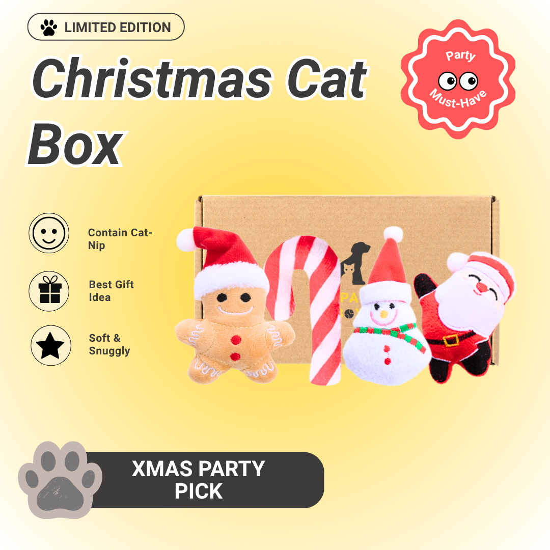 Pawpy Merry X'Mas Box For Cat