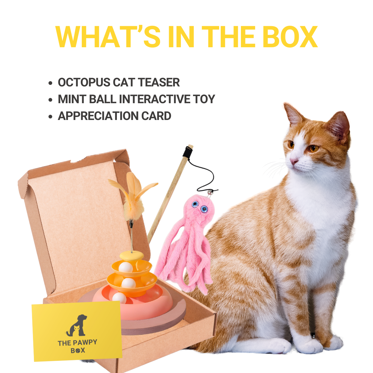 Pawpy Box - Catch Box