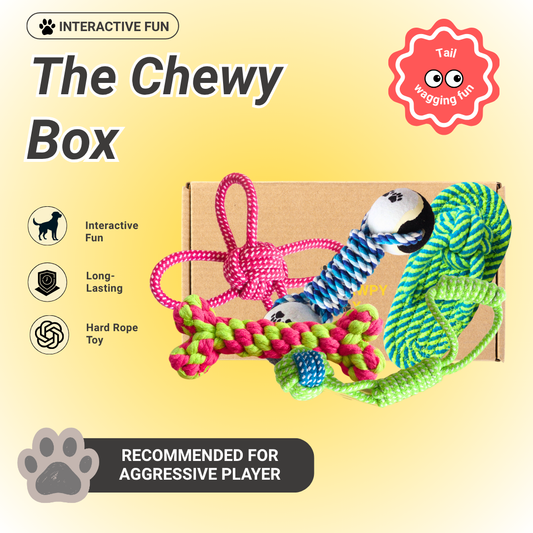 Pawpy The Chewy Box