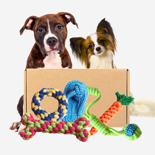 Pawpy The Chewy Box