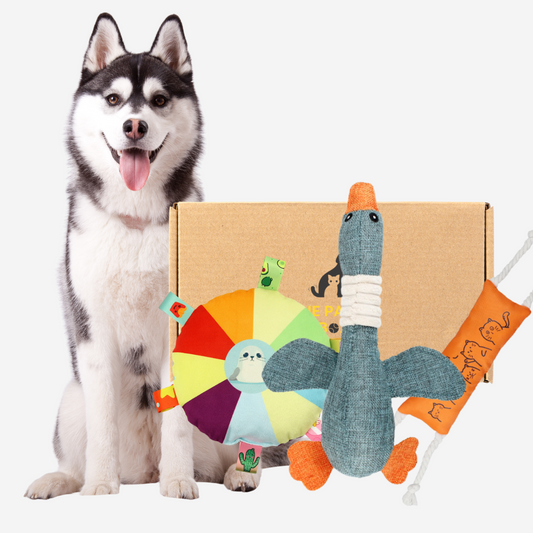 Pawpy Hey! Goose Toy Box