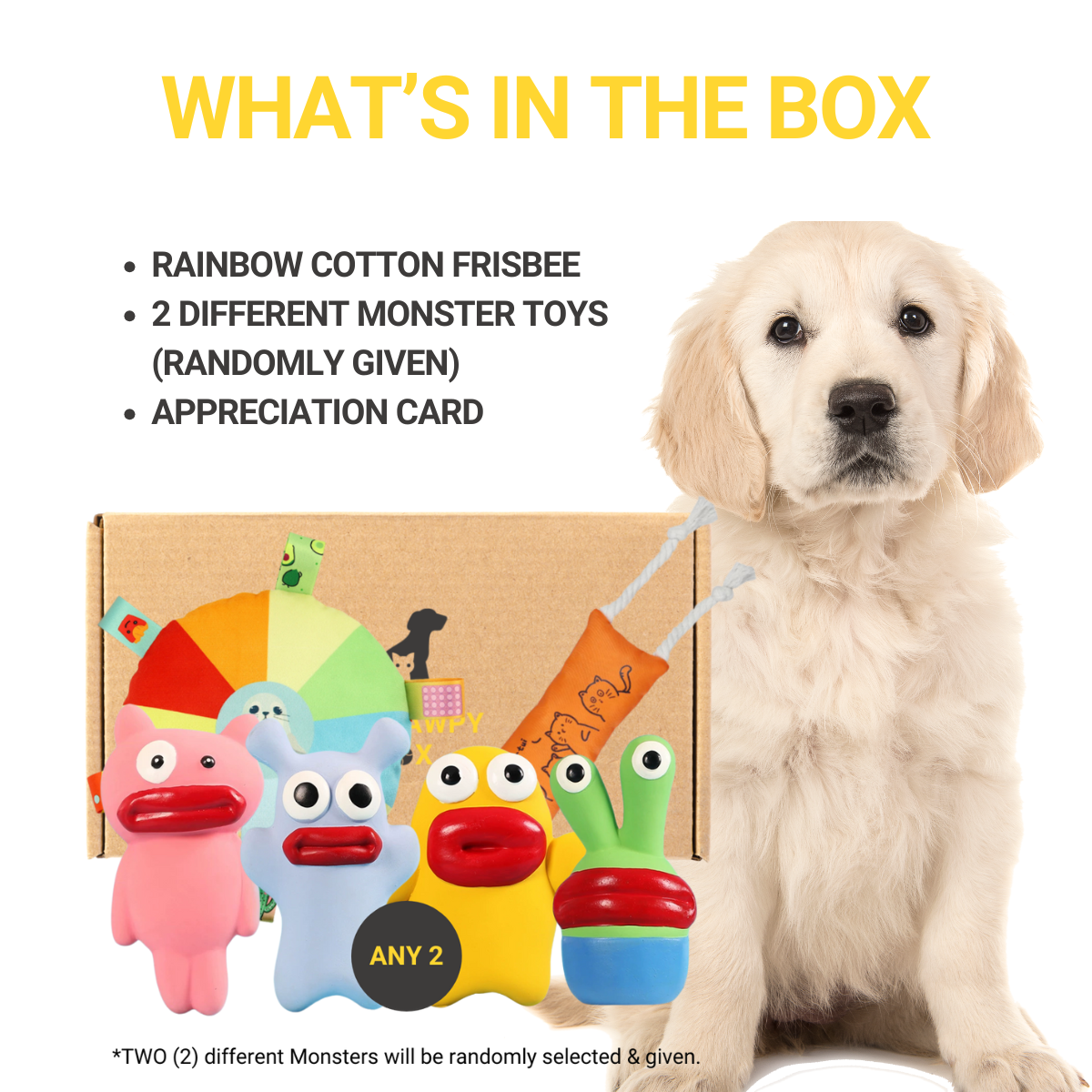 Pawpy Monster Doggie Box