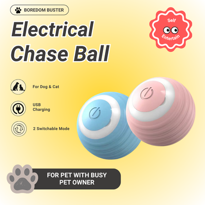 Pawpy Mini Electrical Chase Ball