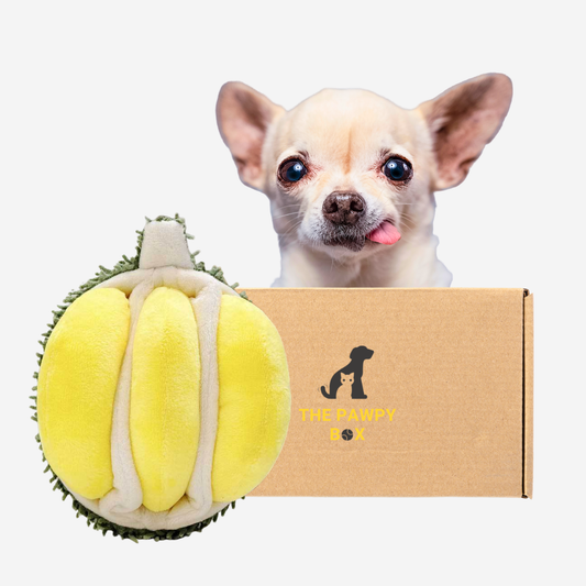 Pawpy Durian Lover