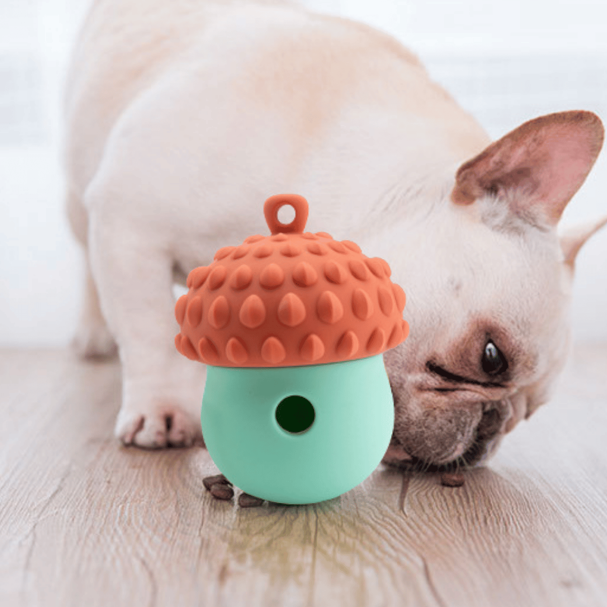 Pawpy Snack Ball