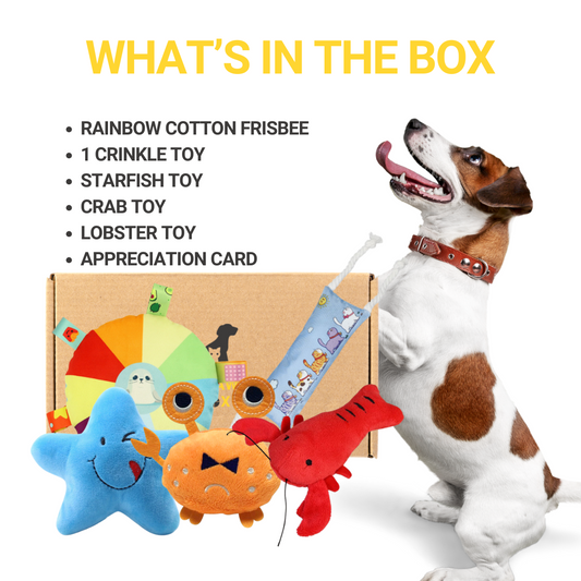 What's in sealife box