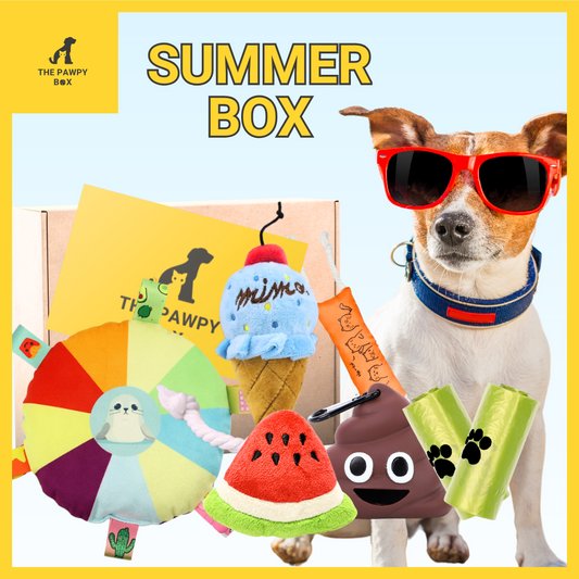 Summer Doggie Box