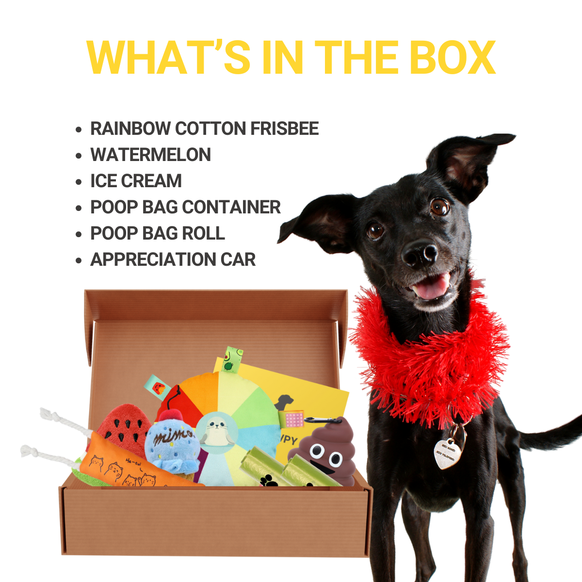 Pawpy Box - Summer Doggie Box