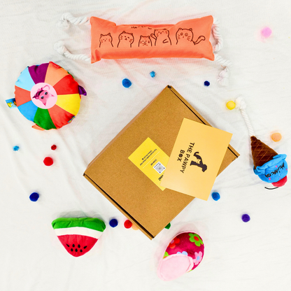 Pawpy Summer Theme Box (For Dogs & Cats)