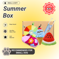 Pawpy Summer Theme Box (For Dogs & Cats)