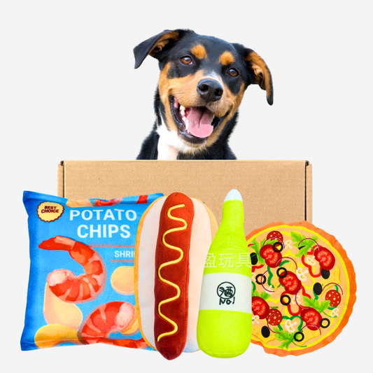 Pawpy TGIF Toy Box