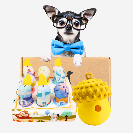 Pawpy The Smart Baby Box For Dogs