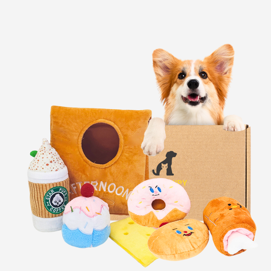 Pawpy The Hide-And-Seek Box