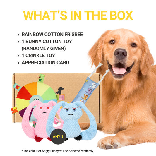 Pawpy Bunny Doggie Box