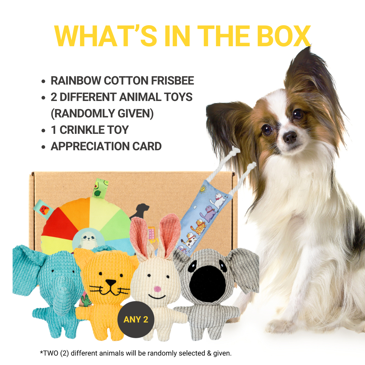 What's in Zoo Box