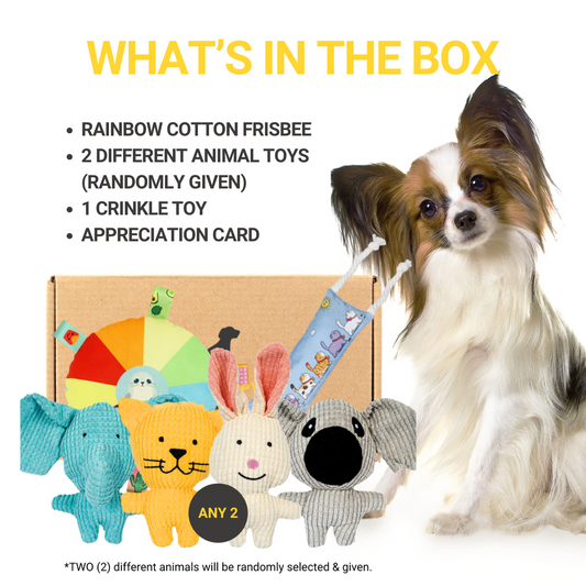 What's in Zoo Box