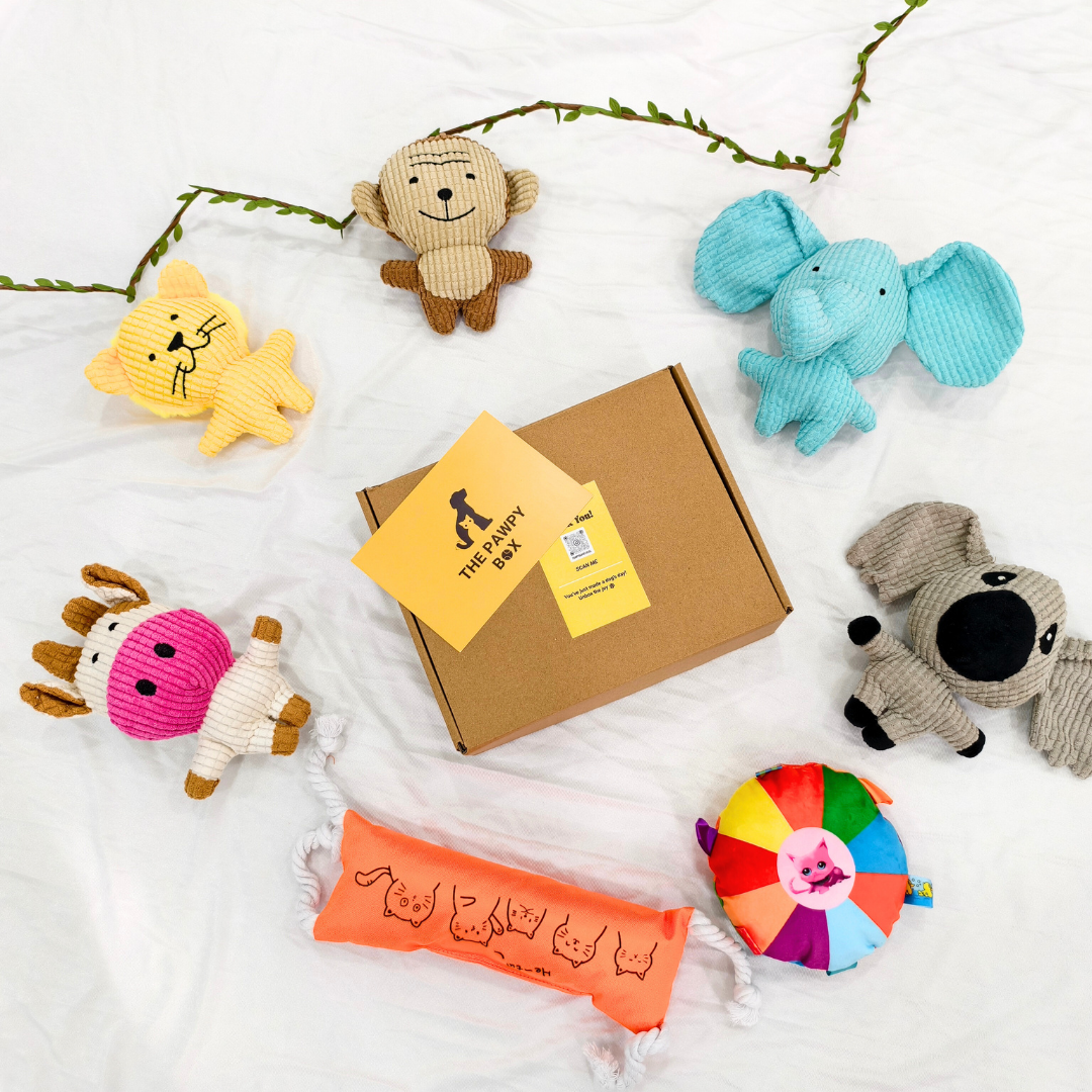 Pawpy Zoo Doggie Box