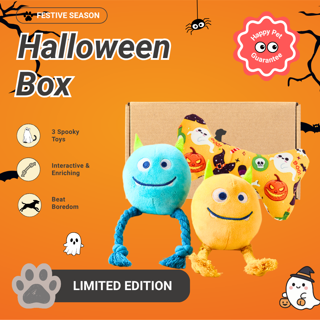 [Limited Edition] Pawpy Halloween Box