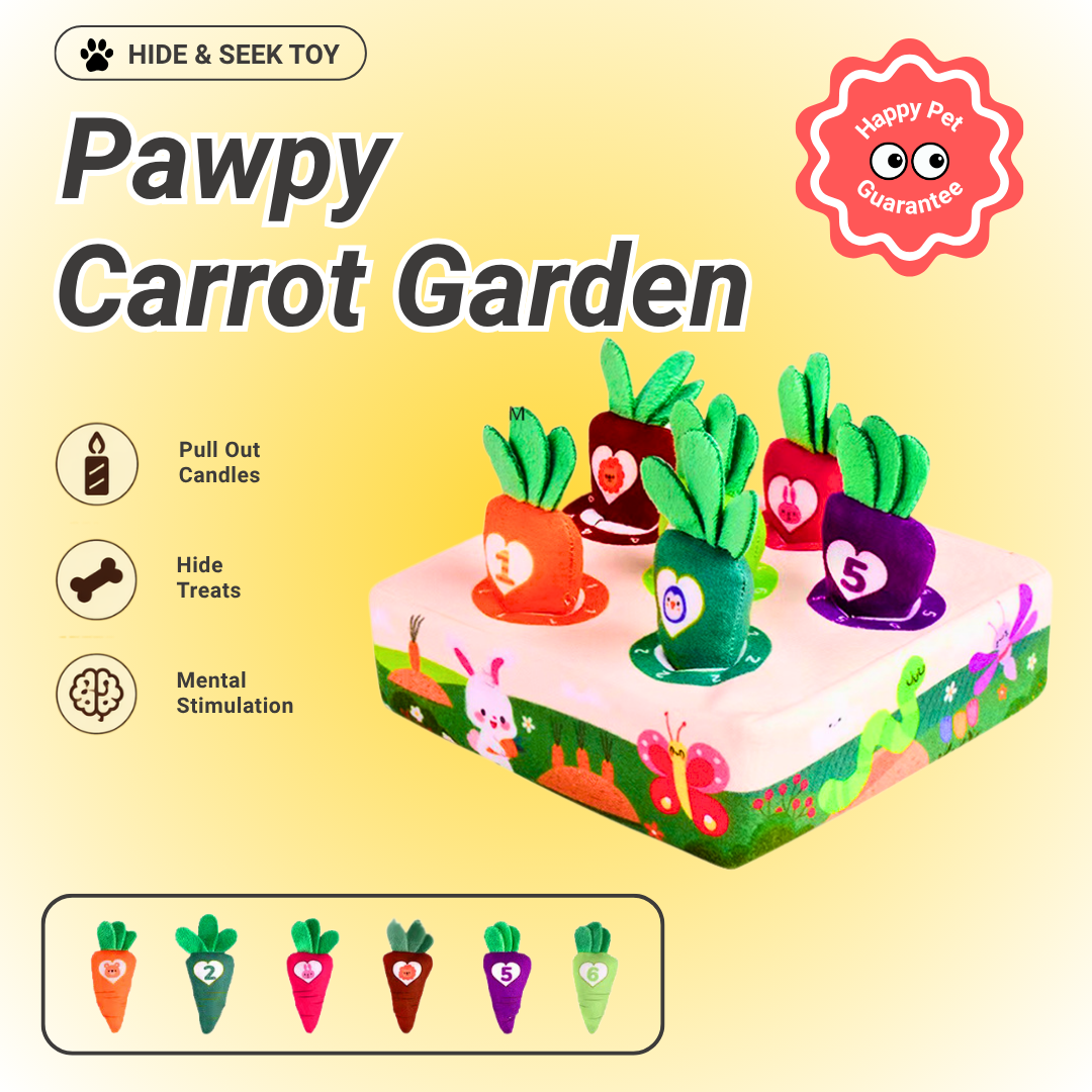 Pawpy Pull Toy