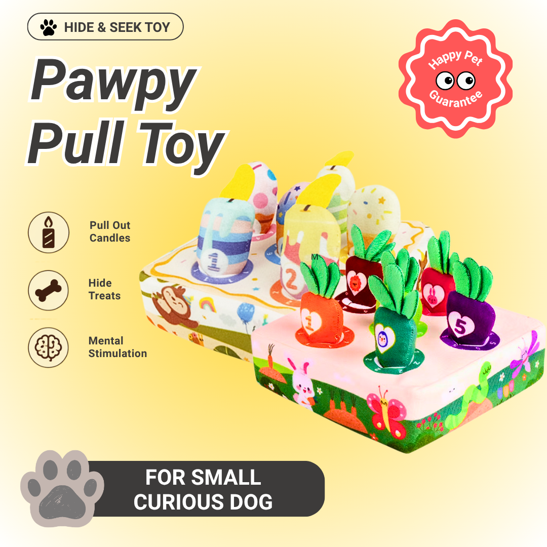 Pawpy Pull Toy