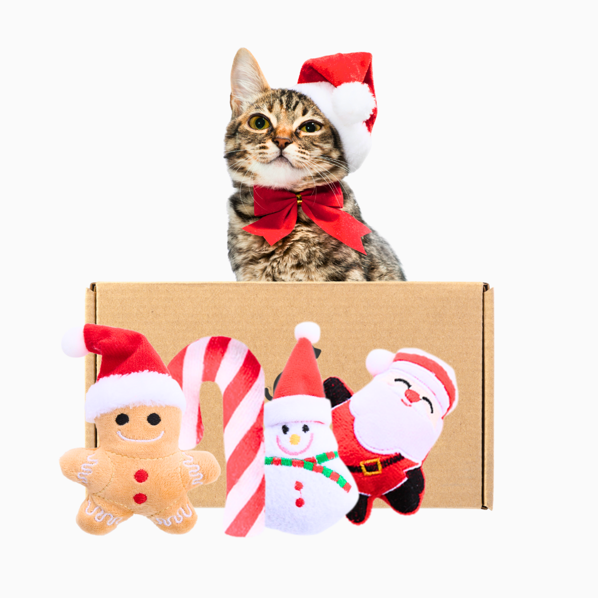 Pawpy Merry X'Mas Box For Cat
