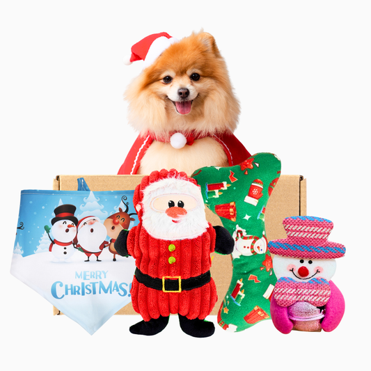 Pawpy Merry X'Mas Box For Dog