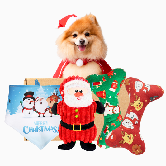 Pawpy Merry X'Mas Box For Dog
