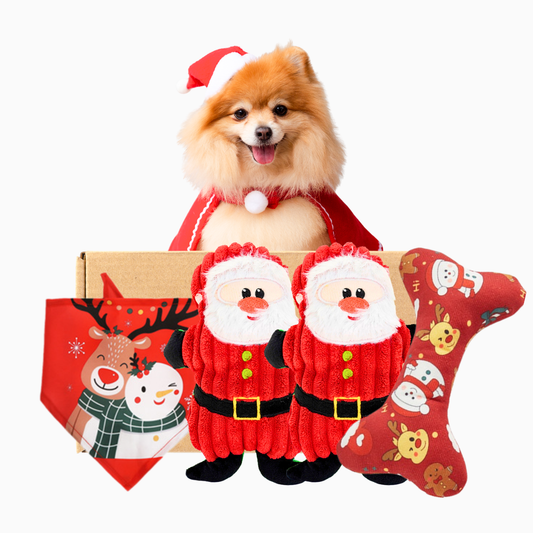 Pawpy Merry X'Mas Box For Dog