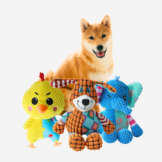 Pawpy the doggie friend