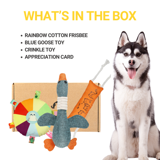 Hey Goose Box