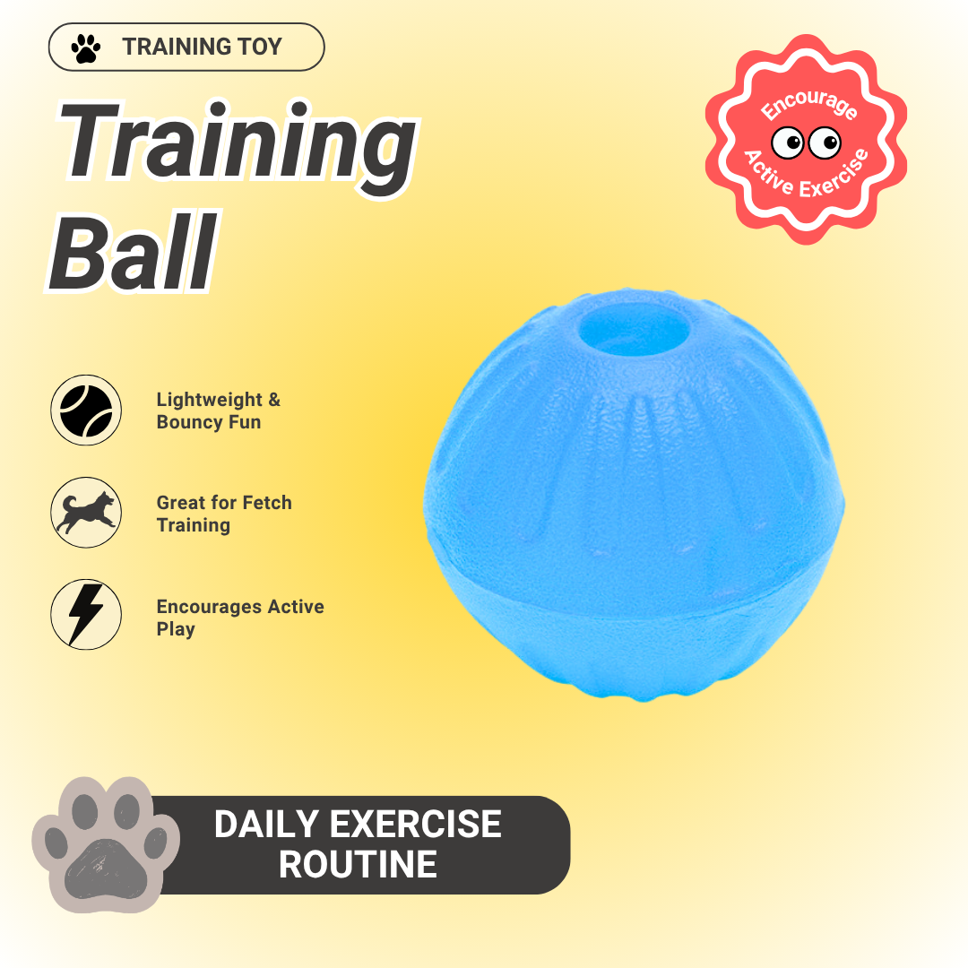 Pawpy Training Ball