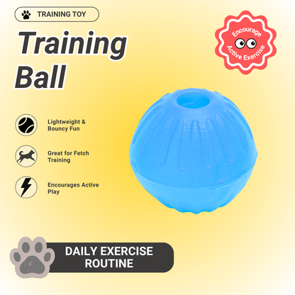 Pawpy Training Ball