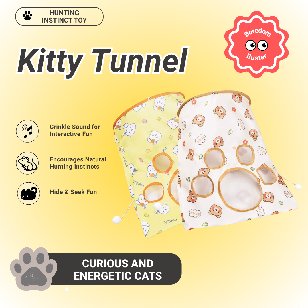 Pawpy Kitty Tunnel