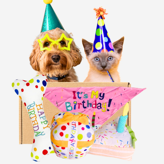 Pawpy Happy Birthday Box (For Dogs & Cats)