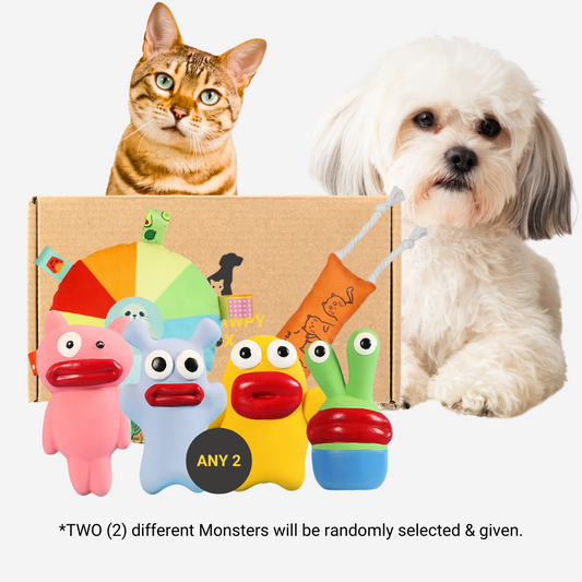 Pawpy Monster Doggie Box