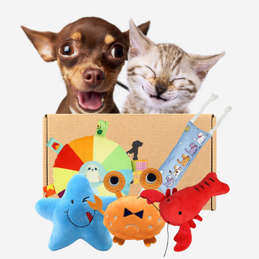 Pawpy Sealife Doggie Box (For Dogs & Cats)