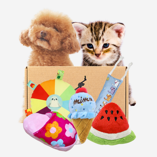 Pawpy Summer Theme Box (For Dogs & Cats)